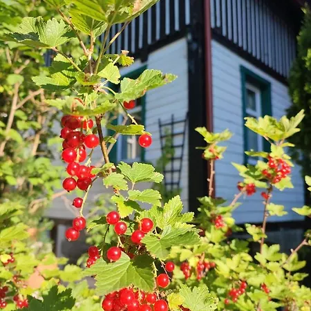 Alloggio in famiglia Wiking Szklarska Poręba