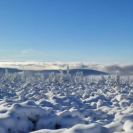 Alloggio in famiglia Wiking *