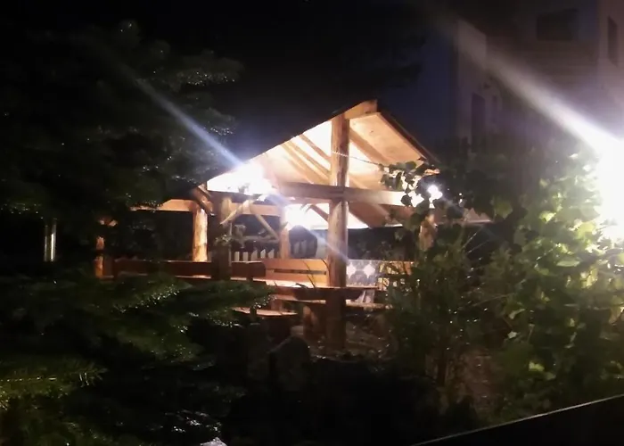 Проживание в семье Wiking