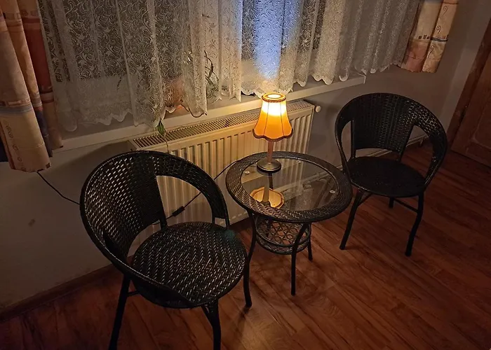 Проживание в семье Wiking *