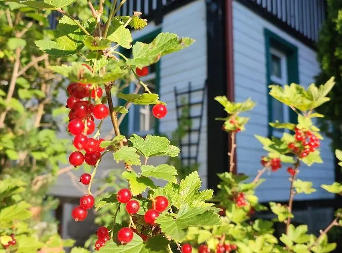 Проживание в семье Wiking Шклярска-Поремба