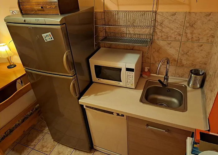 Wiking Проживание в семье