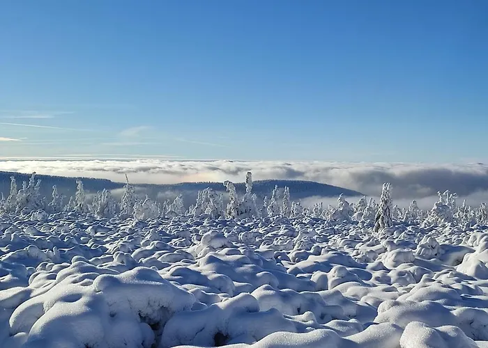Проживание в семье Wiking *