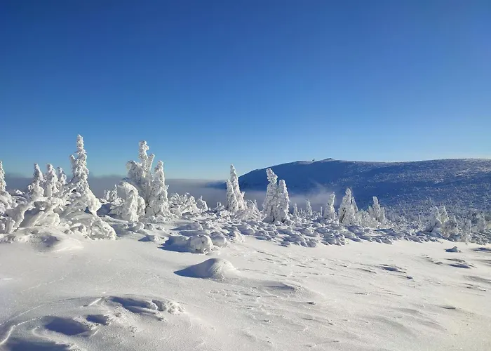 Проживание в семье Wiking Шклярска-Поремба