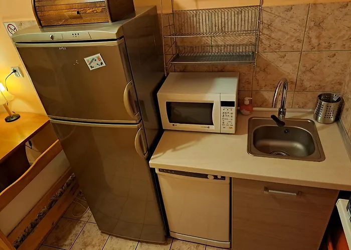 Wiking Проживание в семье