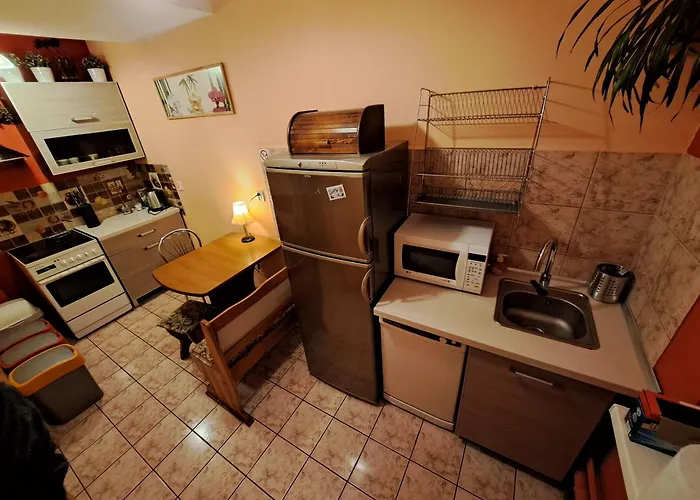 Проживание в семье Wiking