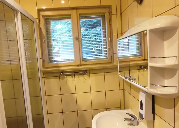 Проживание в семье Wiking *