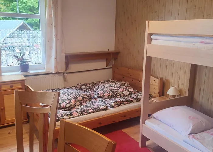 Wiking Проживание в семье *