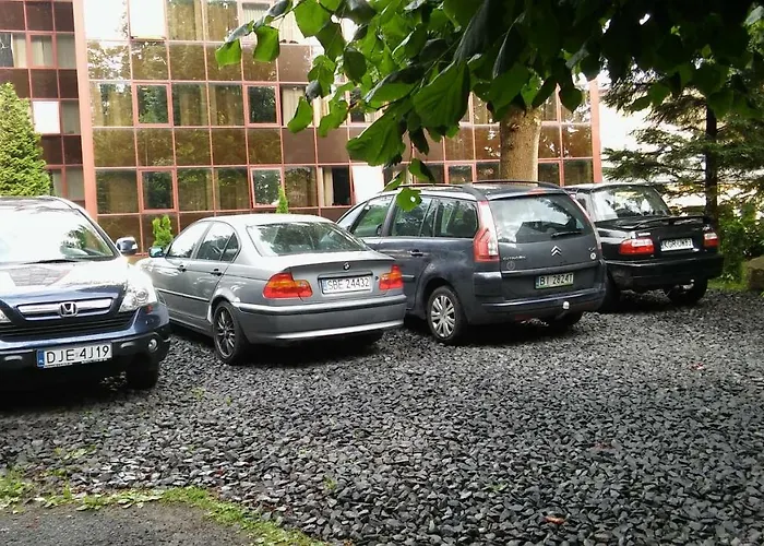 Проживание в семье Wiking *