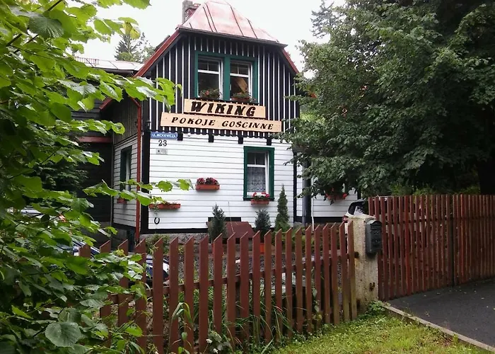 Проживание в семье Wiking