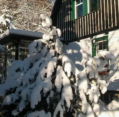 Wiking Проживание в семье *