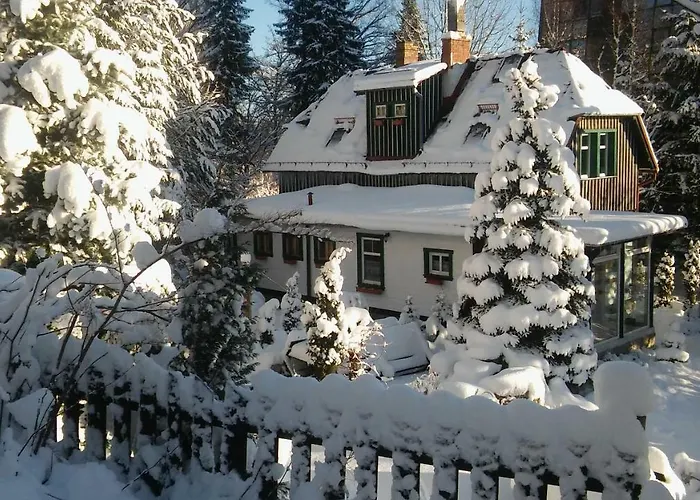 Wiking Проживание в семье *