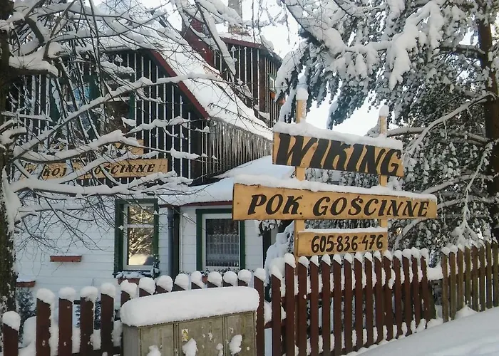 Wiking Проживание в семье