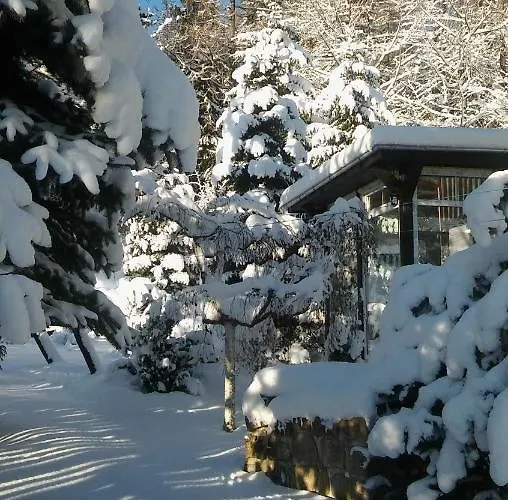 Wiking Шклярска-Поремба